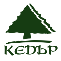 Кедър 96 (Пловдив)