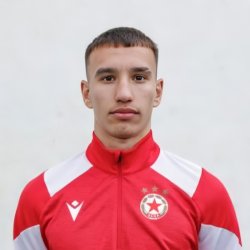 Димитър Николов