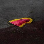 ЦСКА - Гости 2-1 — Никола Кирилов © всички права запазени