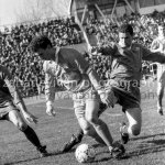 ЦСКА - Добруджа 3:1 — Иван Захариев © всички права запазени