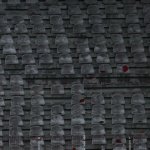 ЦСКА-Ботев Враца 5-1 — Никола Кирилов © всички права запазени