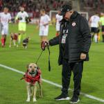 ЦСКА - Хебър 3-0 — Никола Кирилов © всички права запазени