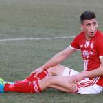  — Никола Кирилов © всички права запазени