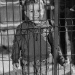 — Никола Кирилов © всички права запазени