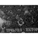 — Никола Кирилов © всички права запазени