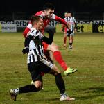  — Анатолий Йорданов © всички права запазени