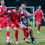  — Анатолий Йорданов © всички права запазени